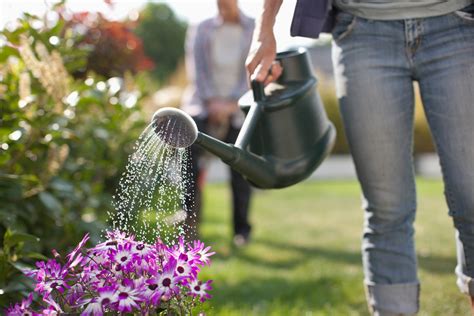 Uses Of Water For Watering Plants