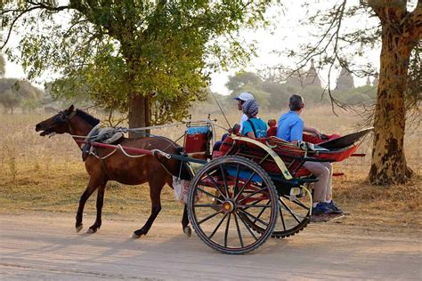 Horse Cart Riding Experience In Bagan Activity