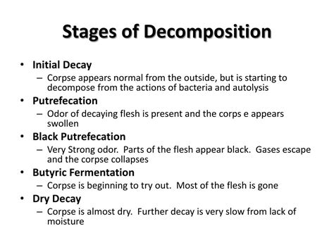 The Stages Of The Human Decomposition Process Scienci