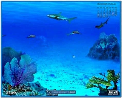 3d Saltwater Fish Tank Screensaver Download Free
