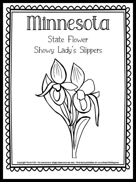 Minnesota State Flower Coloring Page Showy Lady S Slippers {free Printable } The Art Kit