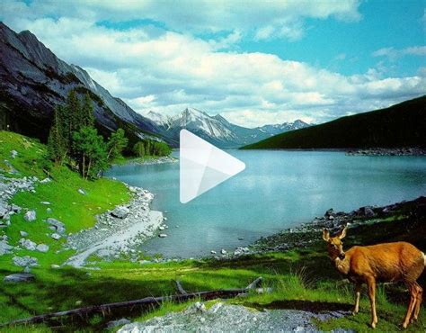 Beautiful World Online Slideshow By Slidely Nature Desktop