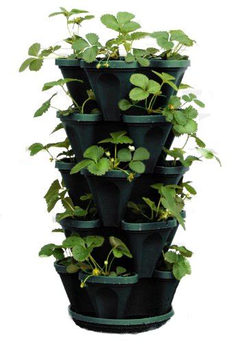 Mr Stacky 1305 Hg 5 Tier Stackable Strawberry Herb Flower