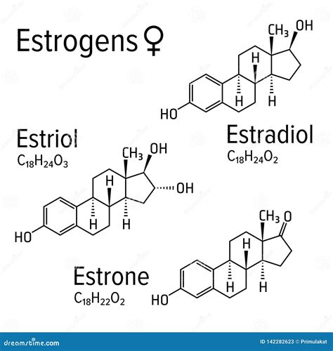 Estrogens Female Hormones Vector Chemical Molecular Formulas Stock Vector Illustration Of