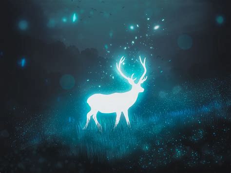 Download Wallpaper 1600x1200 Deer Night Moon Glow Glare Standard 4