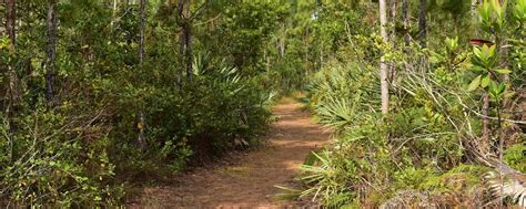 Kiplinger Nature Preserve Martin County Florida