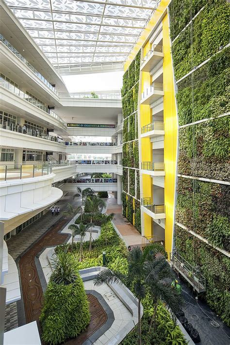 76 Best Biophilic Design Images On Pinterest Architecture Design