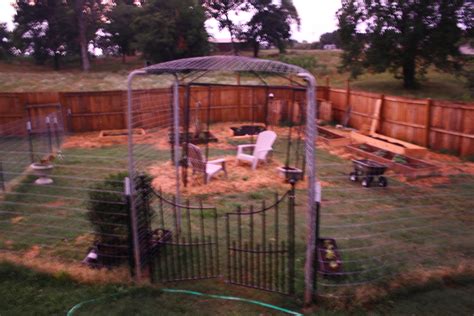 Recycled Trampoline Poles And Goat Fencing Before Look For The