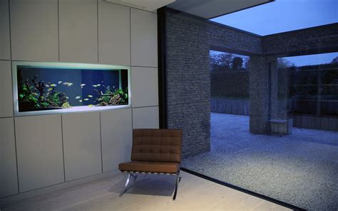 Modern Fish Tank Design Aquarium Architecture