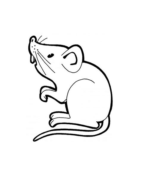 Mouse Coloring For Download Mouse Kids Coloring Pages