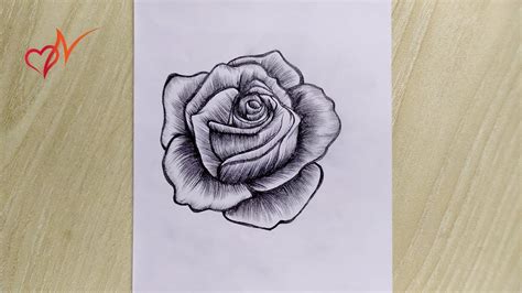 Stunning Compilation Over 999 Rose Drawing Images In Full 4K Awe