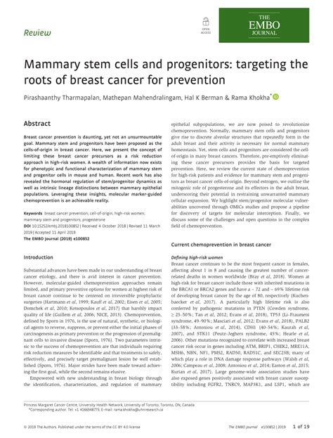 Pdf Mammary Stem Cells And Progenitors Targeting The Roots Of Breast