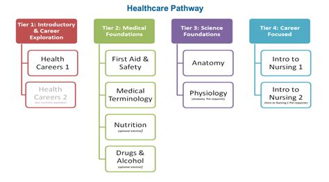 Health Care Course Pathway Carone Learning Online Pe Health