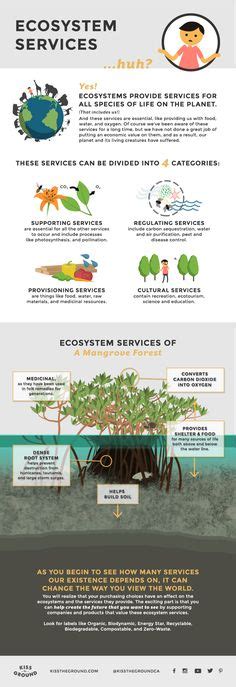 Ecosystems Services By Kiss The Ground Environmental Engineering