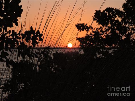 Sunset Perspective Photograph By Marilee Noland Fine Art America