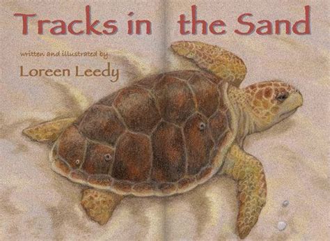 The Ibooks Edition Of Tracks In The Sand Which Tells The Life Cycle