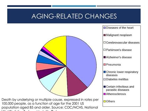 Aging Related Changes