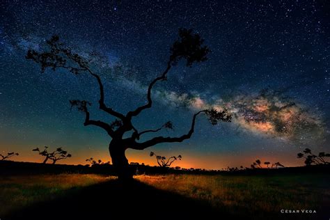 Glow Shadow Exposure Night Milky Way Tree Landscape