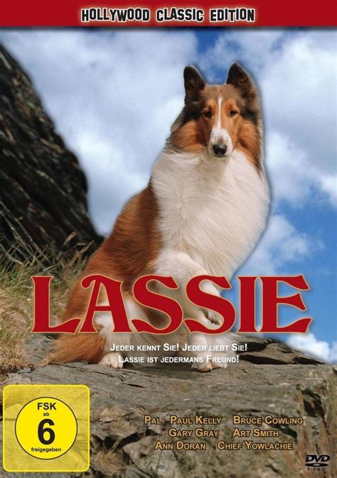 Lassie A New Beginning 1978 Dvd Planet Store