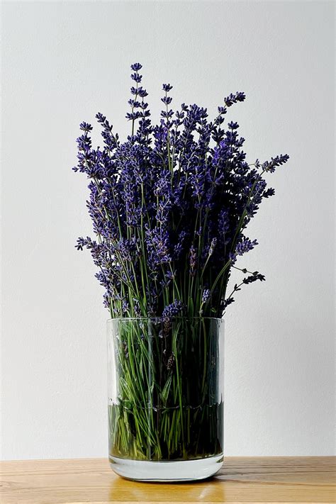 Bunch Of Lavender Beauty In Simplicity Flower Arrangements Diy