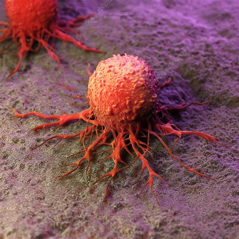 Illustration Of A Cancer Cell Stock Image F0236814 Science Photo