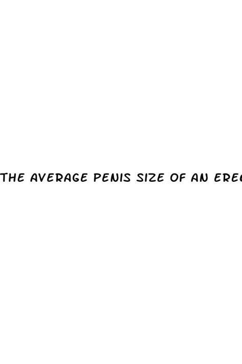 The Average Penis Size Of An Erect Penis Is 2023