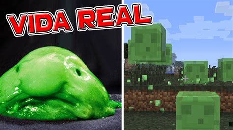 Minecraft Mobs In Real Life 2 Hd 1080p60 Update2022 Youtube
