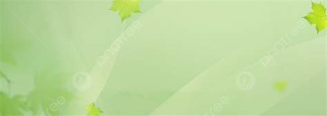 Maple Leaf Green Texture Fresh Background Refreshing Banner Summer