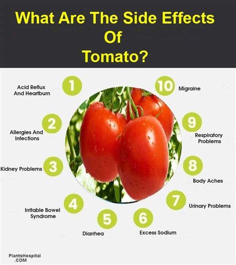 Too Much Tomato What Are The Side Effects Of Tomato 2021