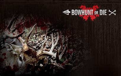 Hunting Bow Bowhunting Desktop Wallpapersafari