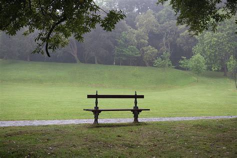 Bench In An Empty Public Park Photograph By Julio Lopez Saguar Fine