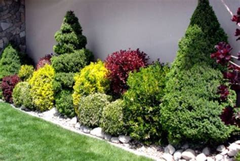 33 Wonderful Evergreen Landscape Ideas For Front Yard Landscaping