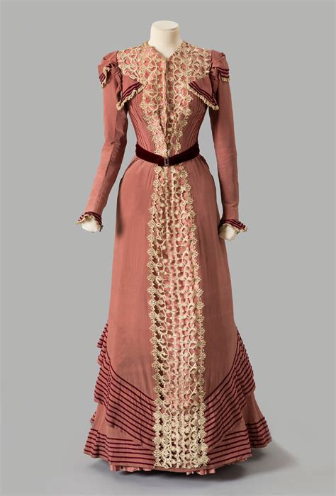 C1898 9 Smoky Rose Dress Albany Institute Of History And Art Historical Dresses Fashion