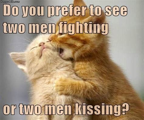 Funny Cat Fight Quotes Shortquotescc
