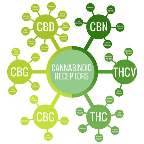 Cannabinoids Green Cultured Elearning Solutions