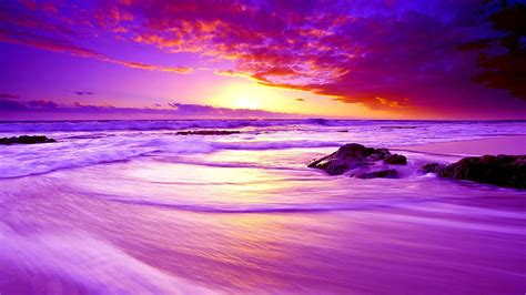 1080p Free Download Purple Beach Sunset Beach Purple Nature