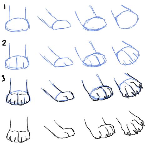 Draw circles where the front and back legs will be. How to Draw Cat Paws: Interesting Instruction For Beginners