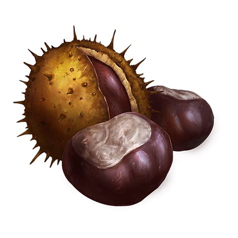 Chestnuts Official Pathologic Wiki