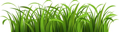 77 Animated Grass Images Download 4kpng