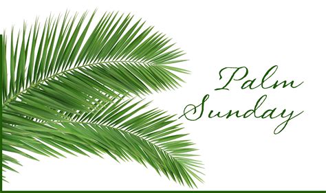Palm Sunday Reflection First Church Congregational Boxford
