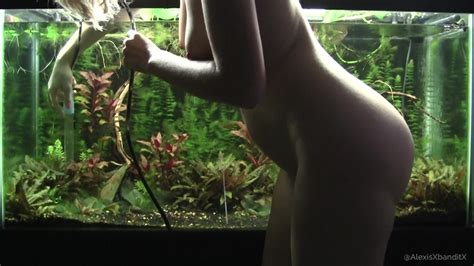 Alexis Bandit Doing Stuff Naked Aquascaping