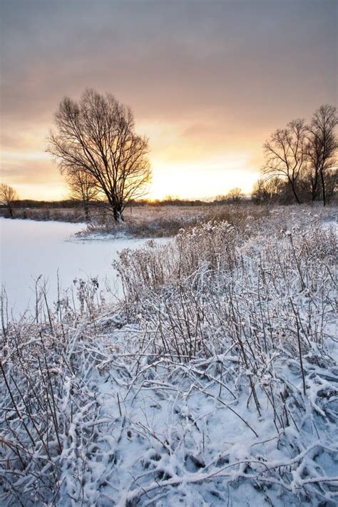 Early Morning Winter Scenic Stock Image Image Of Northern Scenic