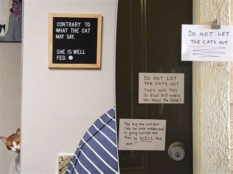 Hilarious Signs Warn People Of Cats Very Naughty Behavior Daily Mail