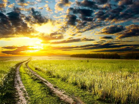 Early Summer Sunrise Meadow Grass Road Sky Clouds Wallpaper
