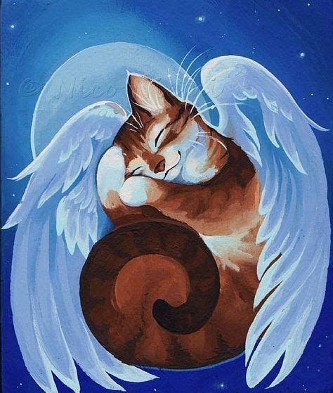 Sweet Dreams O Fyou Gato Angel Angel Cat Animals And Pets Cute
