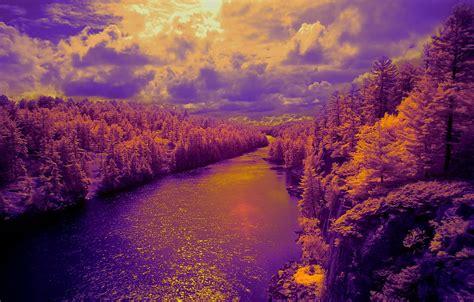 Wallpaper Forest The Sky Clouds Light Trees Nature River Color