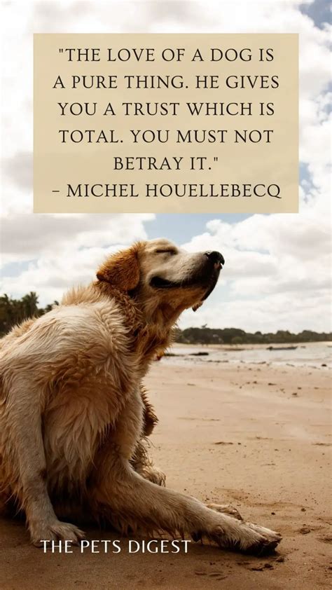 20 Of The Best Dogs Quotes Best Quotes About Dogs