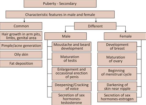 8th Cbse Reaching The Age Of Adolescence Notes