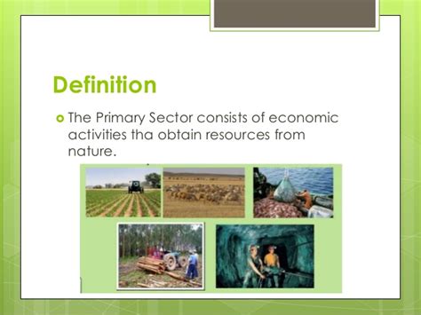 Economic activities implies all the activities of producing, distributing, trading, consuming, exchanging and supplying, goods and services of value, at any level, in a society, for monetary consideration. Unit 6: PRIMARY SECTOR