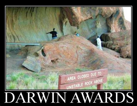 Darwin Awards 3 Vivian Lawry